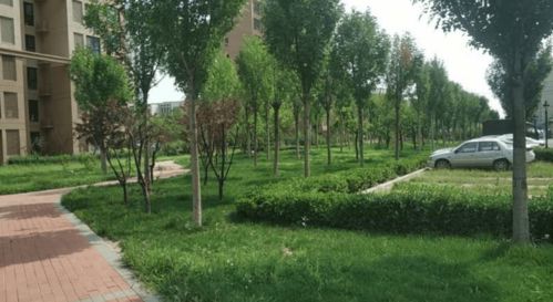 久益集團 以園林綠化工程踐行企業社會責任