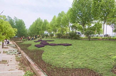 推窗見綠 出門見景 孝昌加快綠化美化，提升城市“顏值”