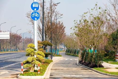 經(jīng)開(kāi)區(qū)八項(xiàng)園林綠化工程榮獲“南湖杯”優(yōu)質(zhì)工程獎(jiǎng)