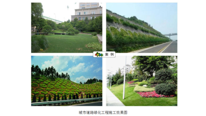 慶陽(yáng)金陵園林綠化工程 打造城市生態(tài)綠肺的藝術(shù)與科技融合